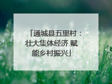 通城县五里村：壮大集体经济 赋能乡村振兴