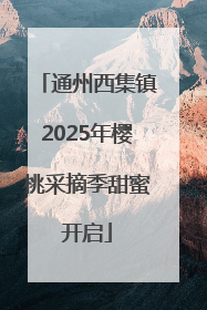 通州西集镇2025年樱桃采摘季甜蜜开启