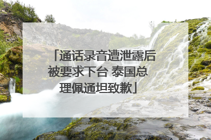 通话录音遭泄露后被要求下台 泰国总理佩通坦致歉