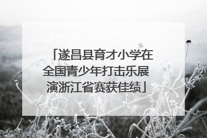 遂昌县育才小学在全国青少年打击乐展演浙江省赛获佳绩