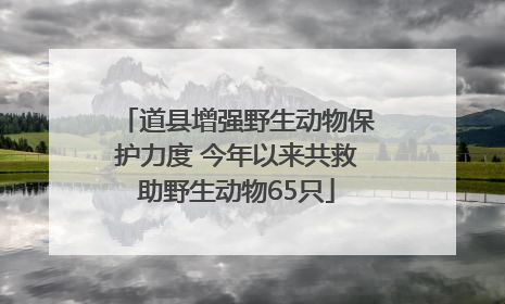 道县增强野生动物保护力度 今年以来共救助野生动物65只