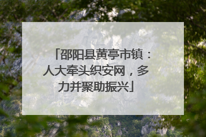 邵阳县黄亭市镇：人大牵头织安网，多力并聚助振兴