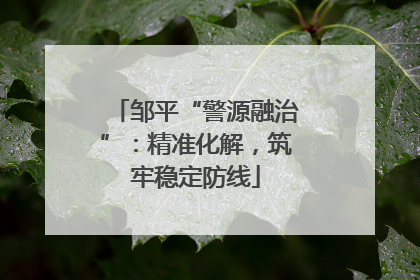邹平“警源融治”：精准化解，筑牢稳定防线