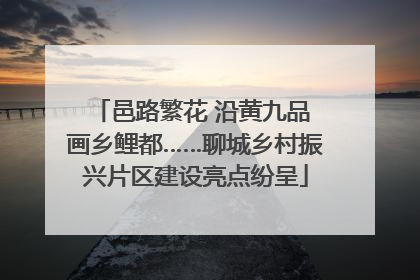 邑路繁花 沿黄九品 画乡鲤都……聊城乡村振兴片区建设亮点纷呈