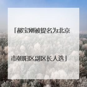 郝宝刚被提名为北京市朝阳区副区长人选