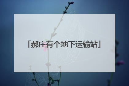 郝庄有个地下运输站