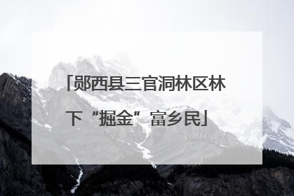 郧西县三官洞林区林下“掘金”富乡民
