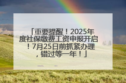 重要提醒！2025年度社保缴费工资申报开启！7月25日前抓紧办理，错过等一年！