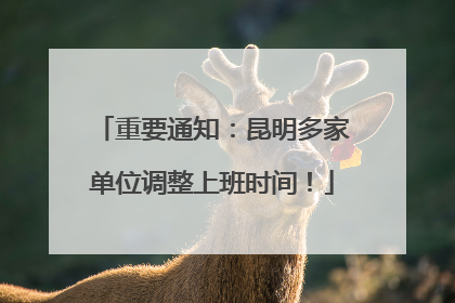 重要通知：昆明多家单位调整上班时间！