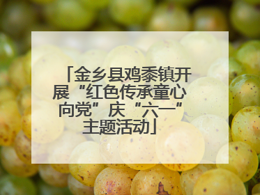 金乡县鸡黍镇开展“红色传承童心向党”庆“六一”主题活动