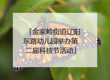 金家岭街道辽阳东路幼儿园举办第二届科技节活动