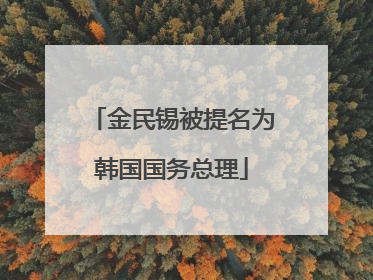 金民锡被提名为韩国国务总理