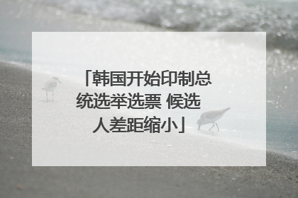 韩国开始印制总统选举选票 候选人差距缩小