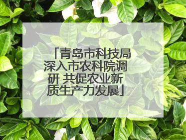 青岛市科技局深入市农科院调研 共促农业新质生产力发展