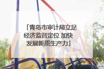 青岛市审计局立足经济监督定位 加快发展新质生产力