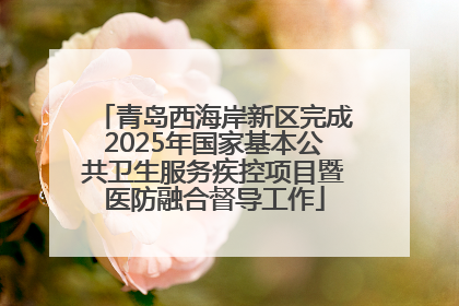 青岛西海岸新区完成2025年国家基本公共卫生服务疾控项目暨医防融合督导工作