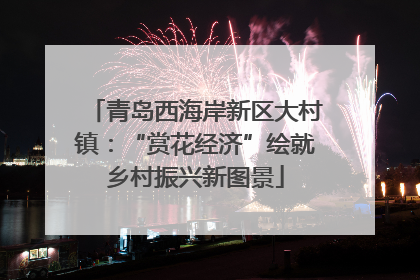 青岛西海岸新区大村镇：“赏花经济”绘就乡村振兴新图景