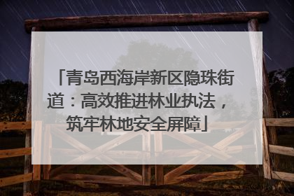青岛西海岸新区隐珠街道：高效推进林业执法，筑牢林地安全屏障