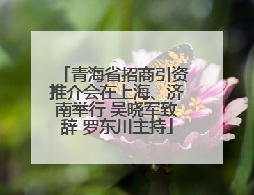 青海省招商引资推介会在上海、济南举行 吴晓军致辞 罗东川主持