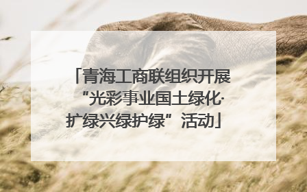 青海工商联组织开展“光彩事业国土绿化·扩绿兴绿护绿”活动
