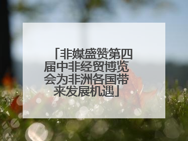 非媒盛赞第四届中非经贸博览会为非洲各国带来发展机遇