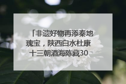非遗好物再添秦地瑰宝，陕西白水杜康十三朝酒海陈藏30年别具一格