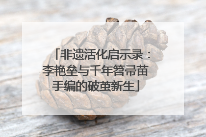 非遗活化启示录：李艳垒与千年笤帚苗手编的破茧新生
