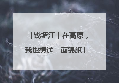 钱塘江丨在高原，我也想送一面锦旗
