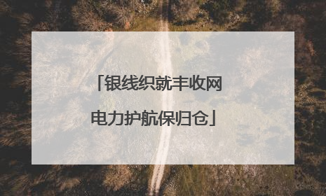 银线织就丰收网 电力护航保归仓