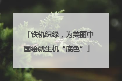 铁轨织绿，为美丽中国绘就生机“底色”