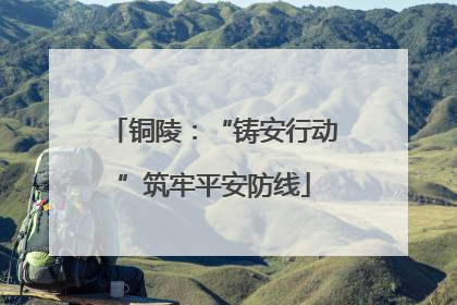 铜陵：“铸安行动”筑牢平安防线