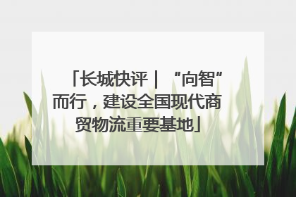 长城快评｜“向智”而行，建设全国现代商贸物流重要基地
