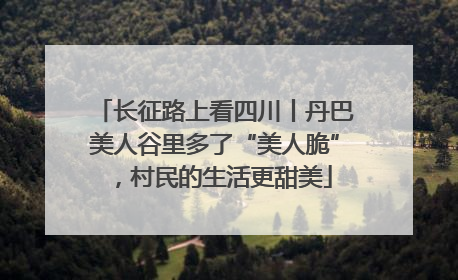 长征路上看四川丨丹巴美人谷里多了“美人脆”，村民的生活更甜美