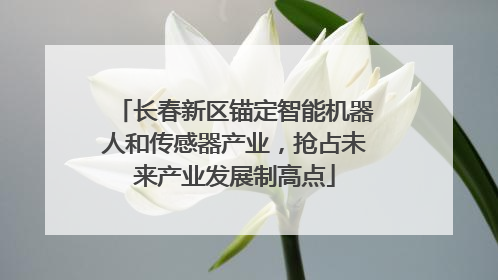 长春新区锚定智能机器人和传感器产业，抢占未来产业发展制高点