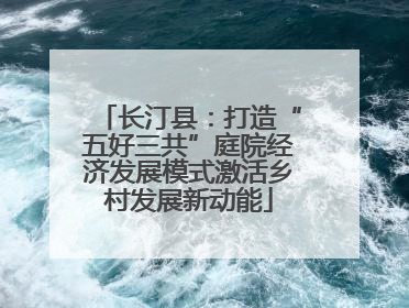 长汀县：打造“五好三共”庭院经济发展模式激活乡村发展新动能