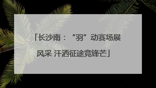 长沙南：“羽”动赛场展风采 汗洒征途竞锋芒