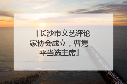 长沙市文艺评论家协会成立，曹隽平当选主席