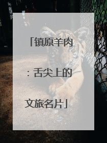 镇原羊肉：舌尖上的文旅名片