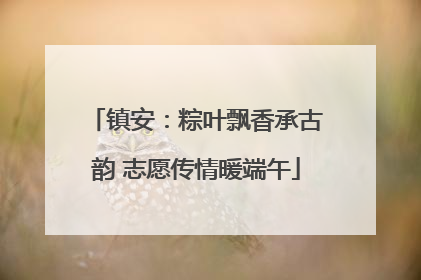 镇安：粽叶飘香承古韵 志愿传情暖端午