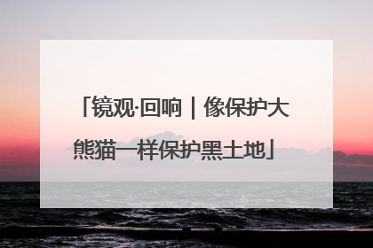 镜观·回响｜像保护大熊猫一样保护黑土地