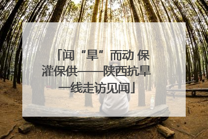 闻“旱”而动 保灌保供——陕西抗旱一线走访见闻