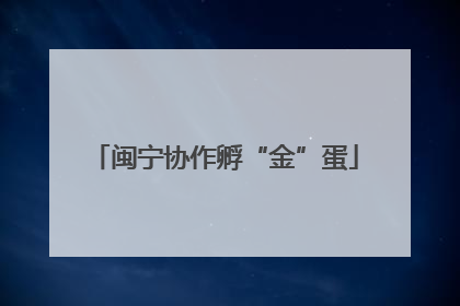 闽宁协作孵“金”蛋