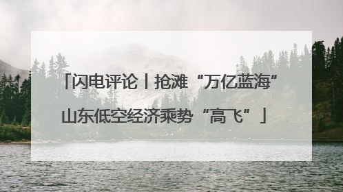 闪电评论丨抢滩“万亿蓝海” 山东低空经济乘势“高飞”