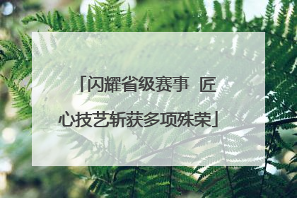 闪耀省级赛事  匠心技艺斩获多项殊荣