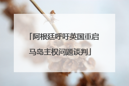 阿根廷呼吁英国重启马岛主权问题谈判