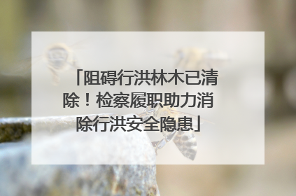 阻碍行洪林木已清除！检察履职助力消除行洪安全隐患