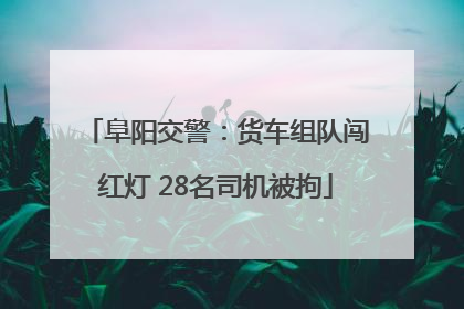 阜阳交警：货车组队闯红灯 28名司机被拘
