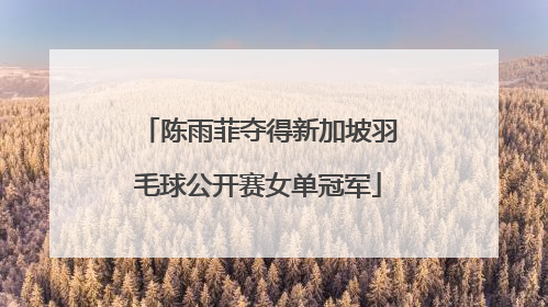 陈雨菲夺得新加坡羽毛球公开赛女单冠军