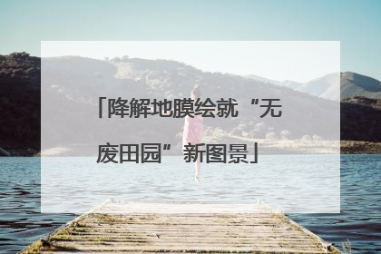 降解地膜绘就“无废田园”新图景
