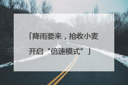 降雨要来，抢收小麦开启“倍速模式”